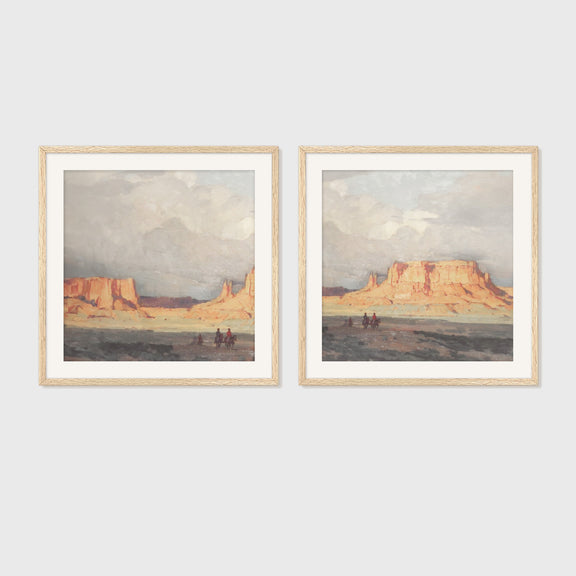 Desert Package - Medium Art Combo's B - 2x-10 - Sage and Rose Prints