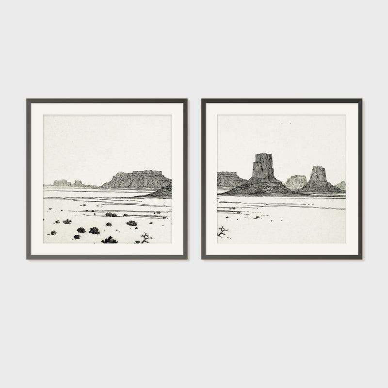 Black and White Desert Landscape 2-Panel Set - Sage and Rose Prints