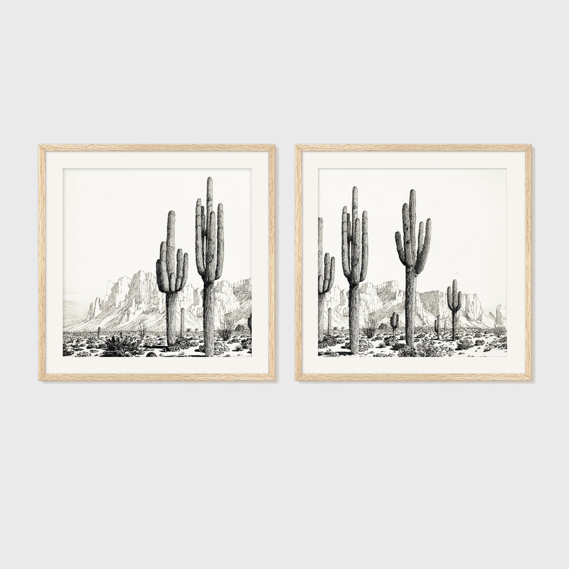 Black and White Cactus Wall Art 2-Panel Set - Sage and Rose Prints