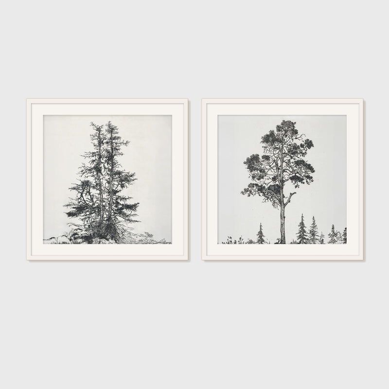 Black and White Trees 2 Panel Art Set - Sage and Rose Prints