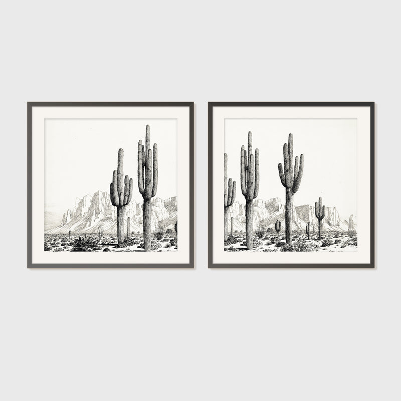Black and White Cactus Wall Art 2-Panel Set - Sage and Rose Prints