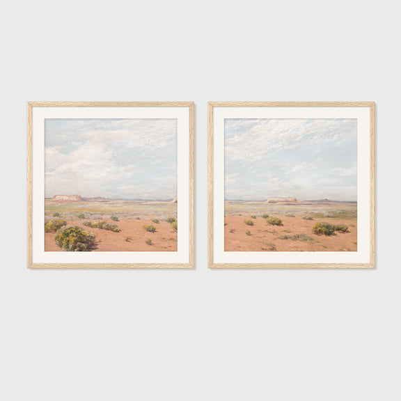 Desert Package - Medium Art Combo's D - 2x- - Sage and Rose Prints