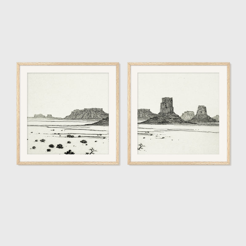Black and White Desert Landscape 2-Panel Set - Sage and Rose Prints