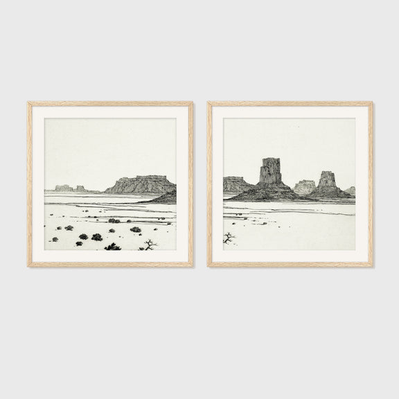 Desert Package - Medium Art Combo's C - 2x- - Sage and Rose Prints