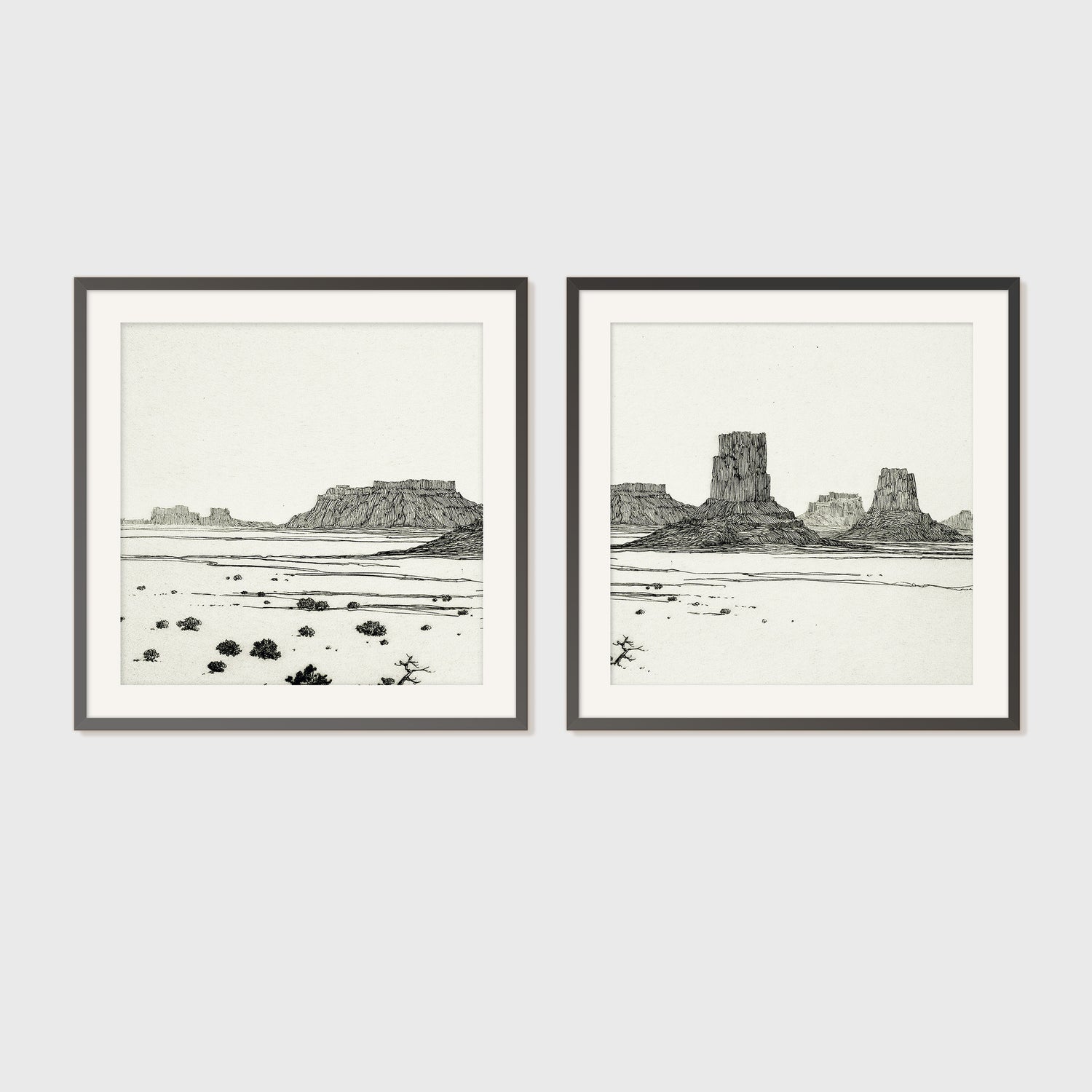 Desert Package - Medium Art Combo's C - 2x- - Sage and Rose Prints