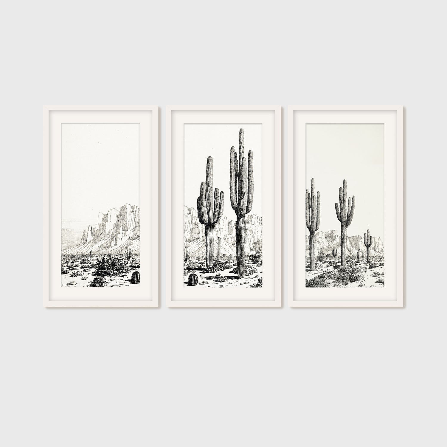 Desert Package - Living Room D -3x - Sage and Rose Prints