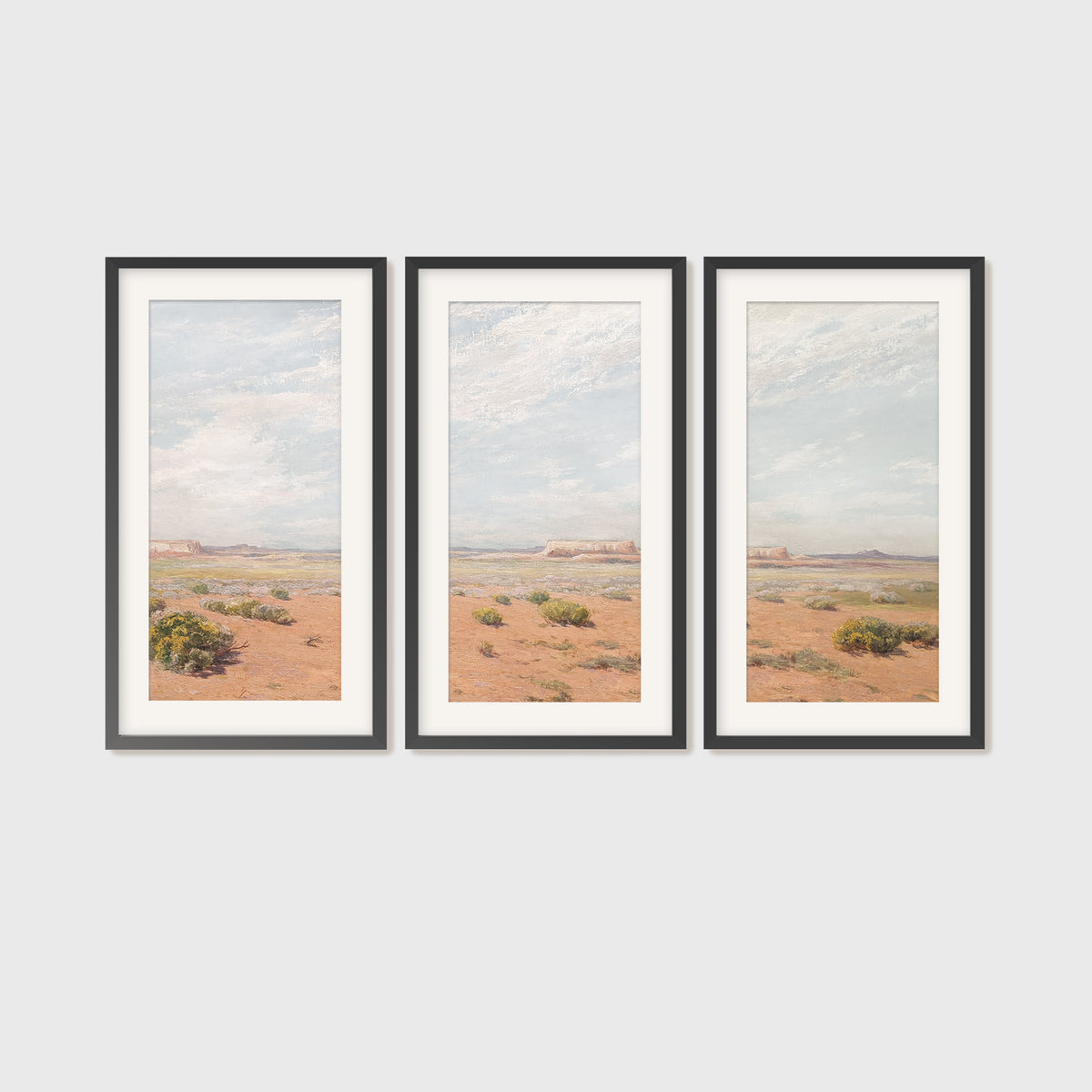 Bright Desert Landscape Triptych - Sage and Rose Prints