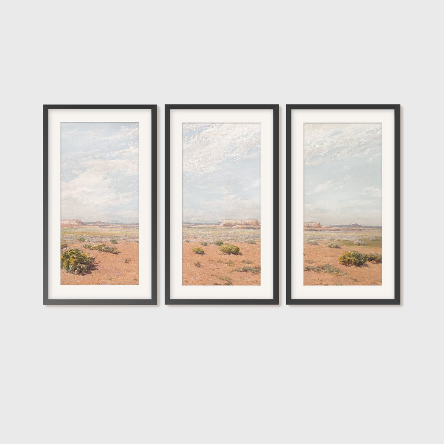 Desert Painting 11-3x - Sage and Rose Prints