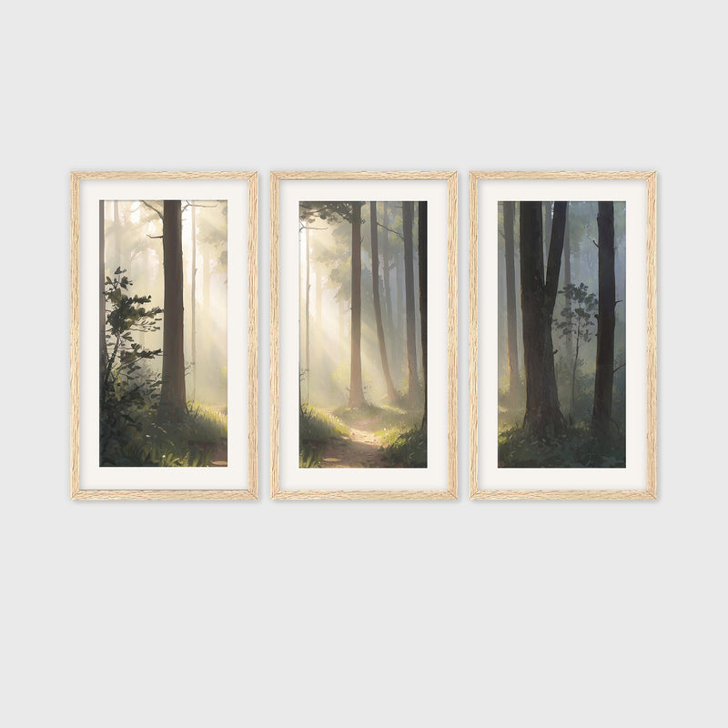 Sunlight Through a Misty Forest Triptych - Sage and Rose Prints