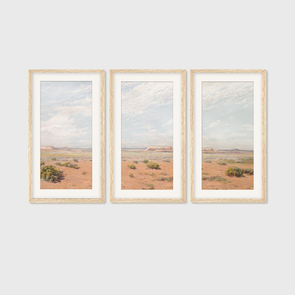 Bright Desert Landscape Triptych - Sage and Rose Prints
