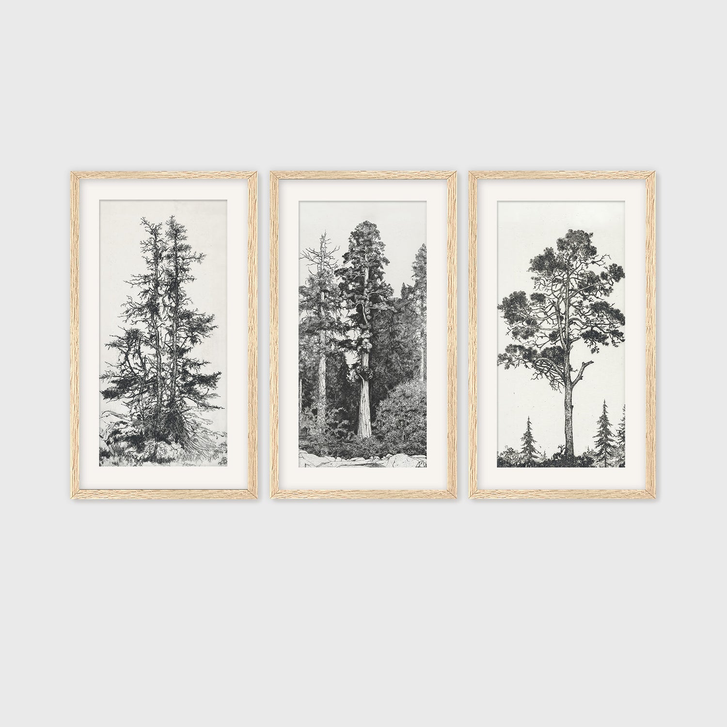 Pacific Northwest 3 Piece Wall Art