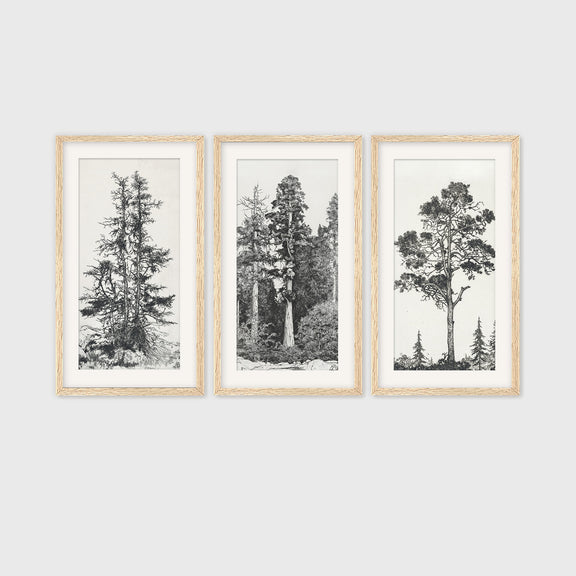 Pacific Northwest 3 Piece Wall Art