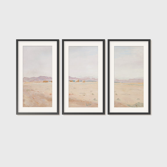 Desert Painting 13-3x - Sage and Rose Prints