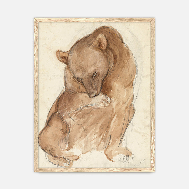 Bear Drawing in Earth Tones - Sage and Rose Prints
