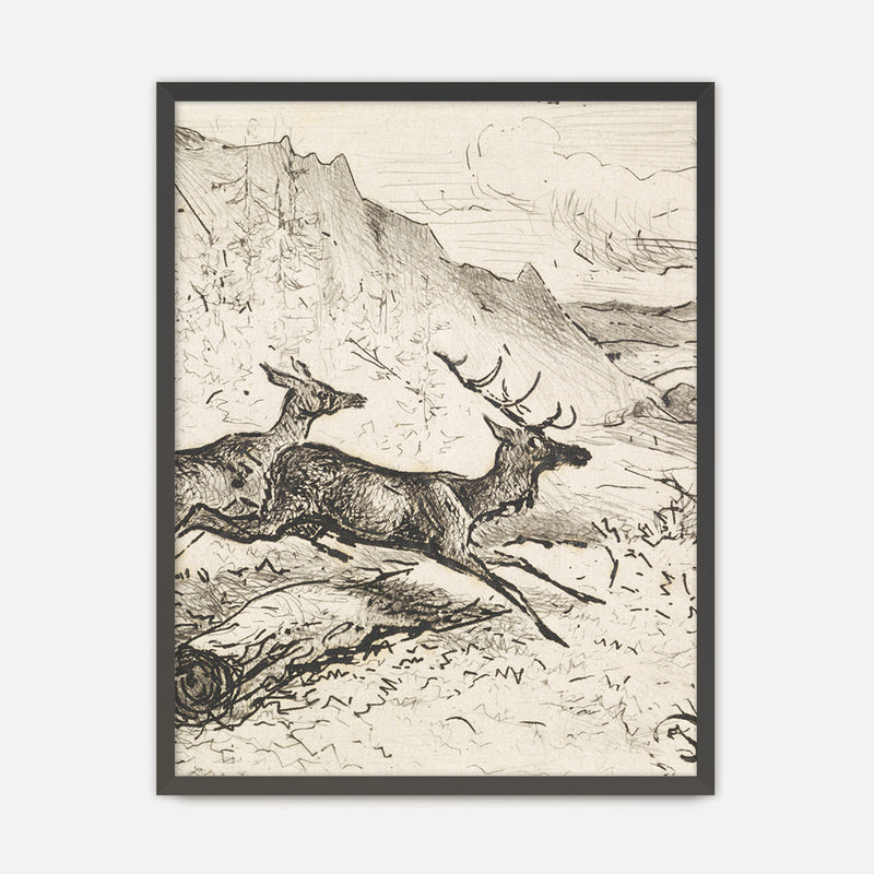 Charcoal Drawing of Deer No1 - Sage and Rose Prints