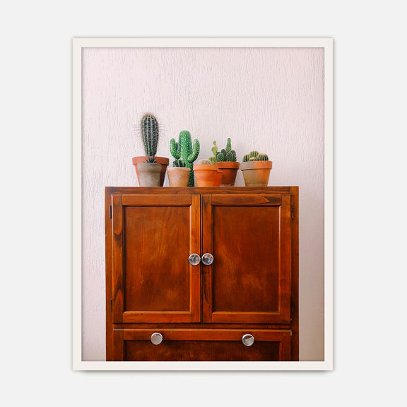 Potted Succulents and Cactus Photo No1 - Sage and Rose Prints