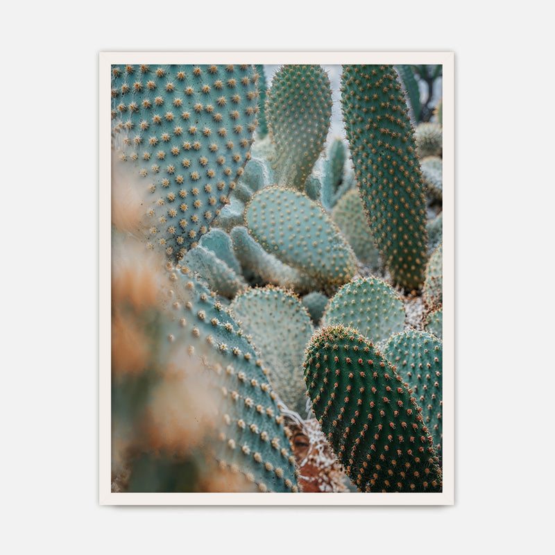 Prickly Pear Geometric Cactus Photo No2 - Sage and Rose Prints