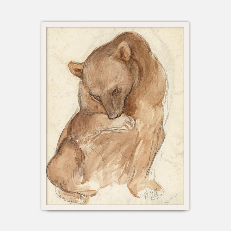 Bear Drawing in Earth Tones - Sage and Rose Prints