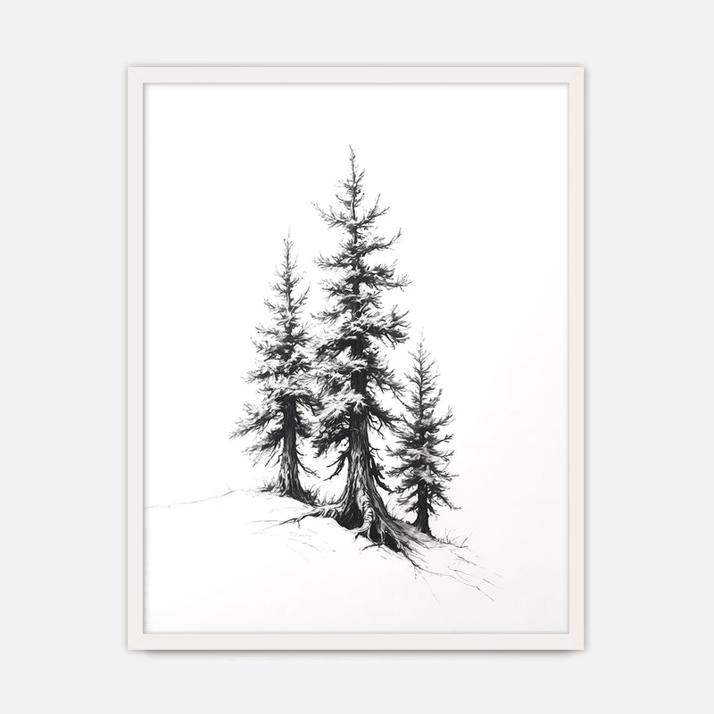 Black and White Drawing of Evergreen Tree - Sage and Rose Prints