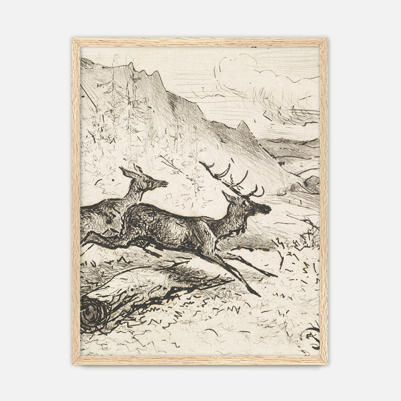 Charcoal Drawing of Deer No1 - Sage and Rose Prints