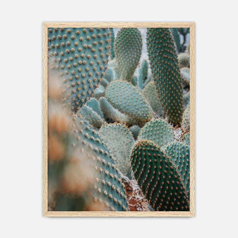 Prickly Pear Geometric Cactus Photo No2 - Sage and Rose Prints