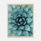 Teal Geometric Succulent Photo No1 - Sage and Rose Prints