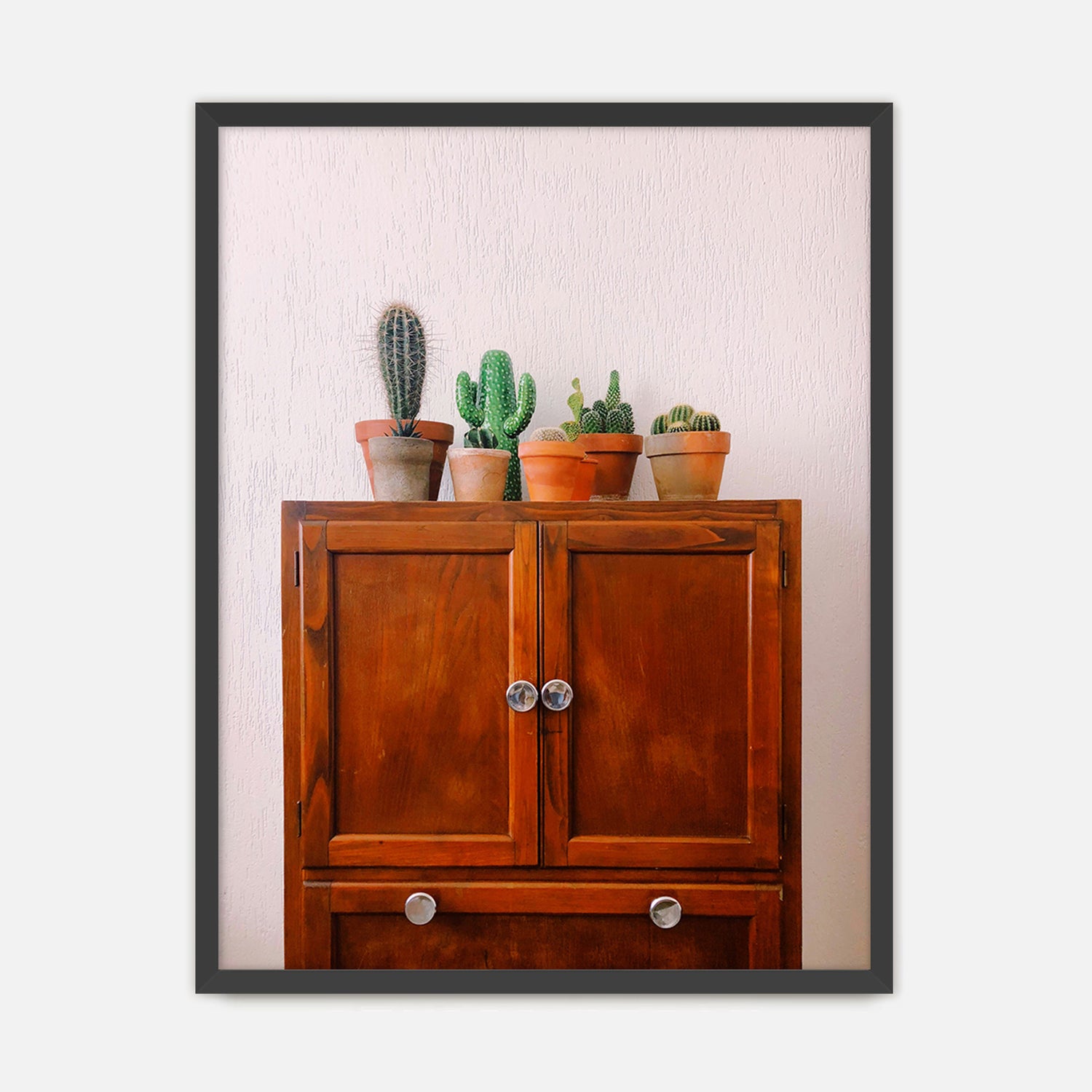 Potted Succulents and Cactus Photo No1 - Sage and Rose Prints