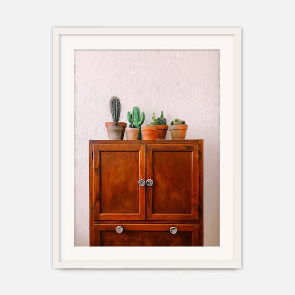 Potted Succulents and Cactus Photo No1 - Sage and Rose Prints