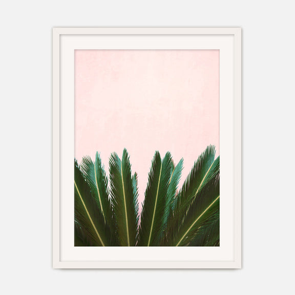Tropical Leaves and Soft Pink No1 - Sage and Rose Prints