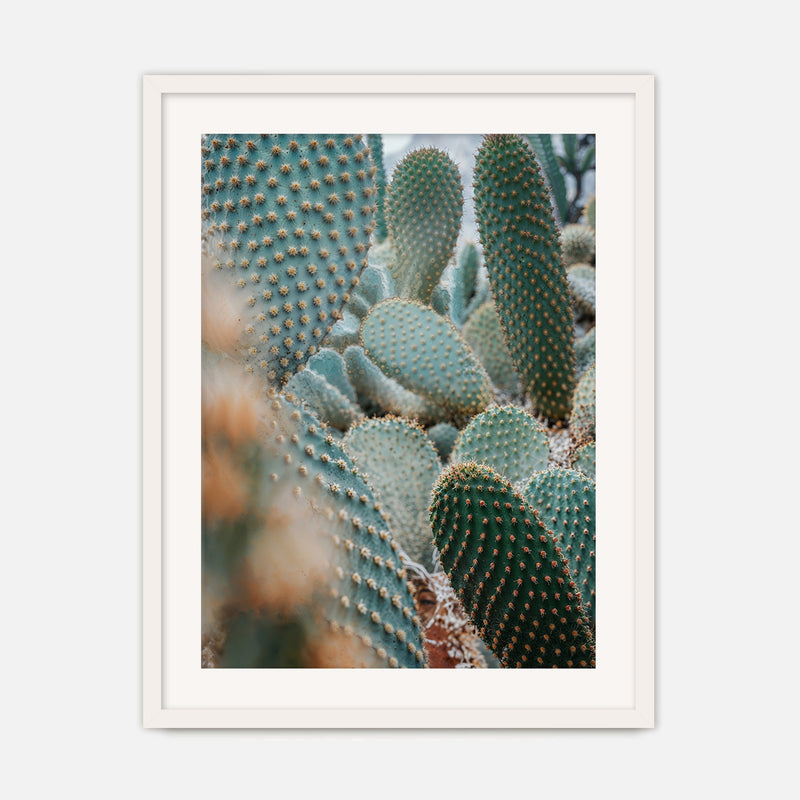 Prickly Pear Geometric Cactus Photo No2 - Sage and Rose Prints