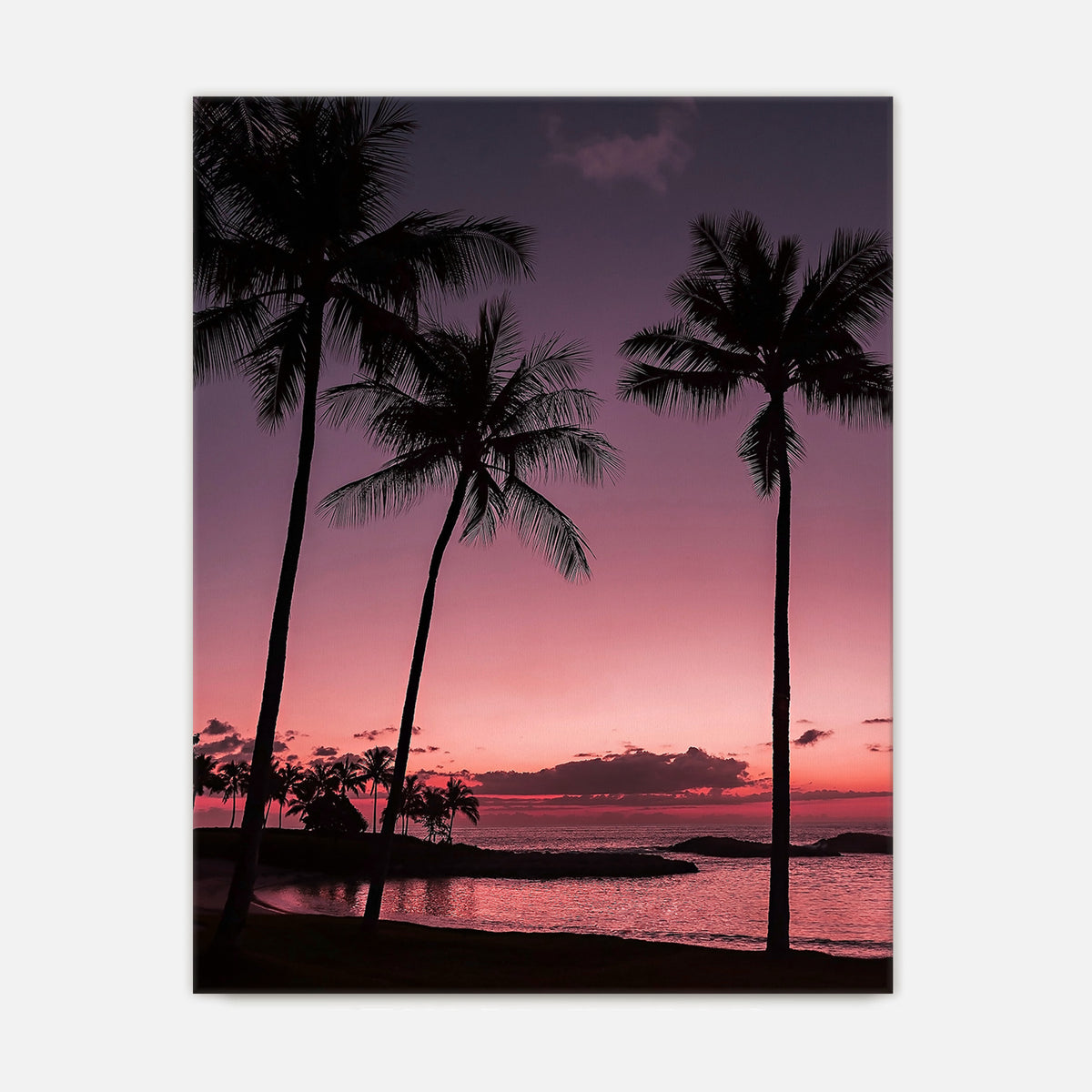 Bright Pink Sunset and Palm Trees Art - Sage and Rose Prints