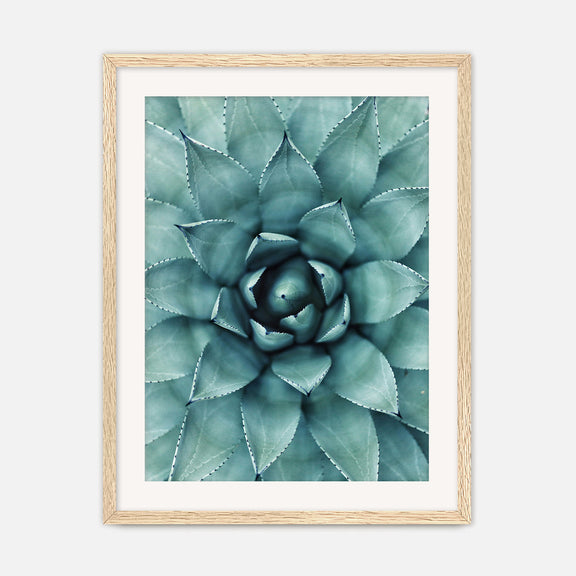 Teal Geometric Succulent Photo No1 - Sage and Rose Prints