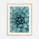 Teal Geometric Succulent Photo No1 - Sage and Rose Prints