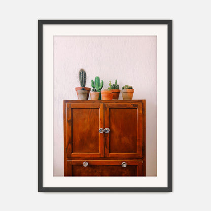 Potted Succulents and Cactus Photo No1 - Sage and Rose Prints