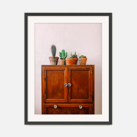 Potted Succulents and Cactus Photo No1 - Sage and Rose Prints