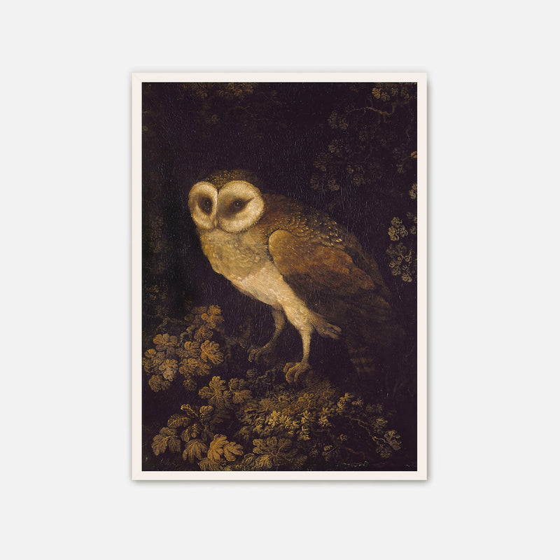 Owl Print - Sage and Rose Prints