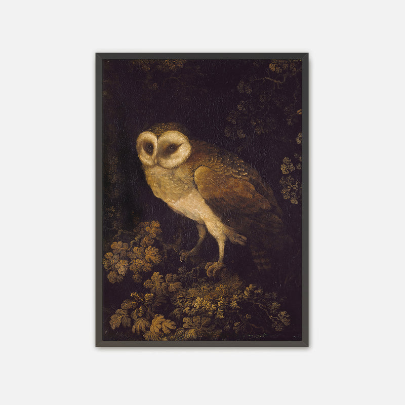 Owl Print - Sage and Rose Prints