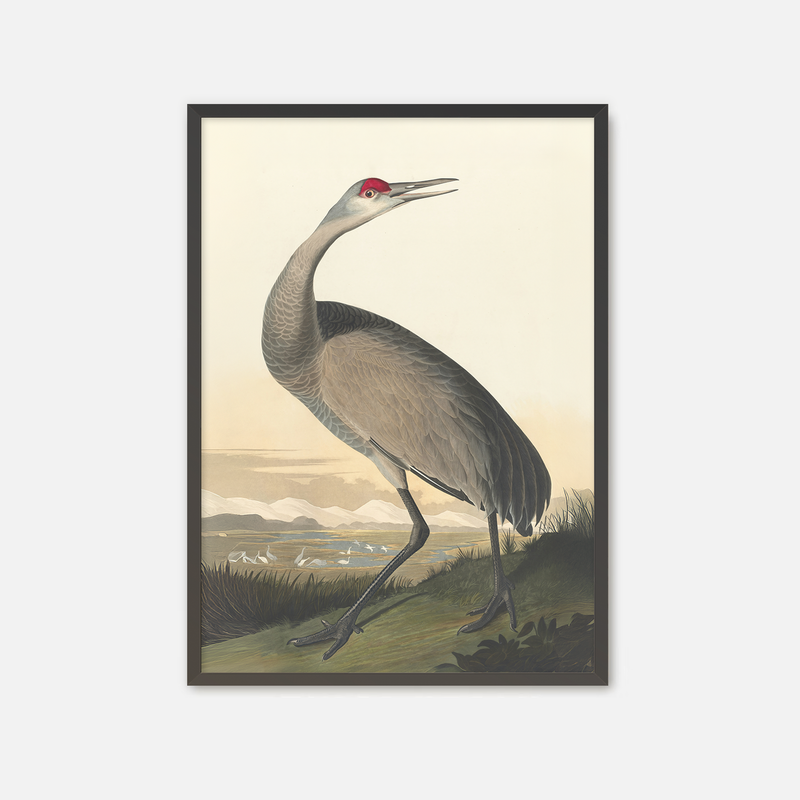 Hooping Crane Print - Sage and Rose Prints