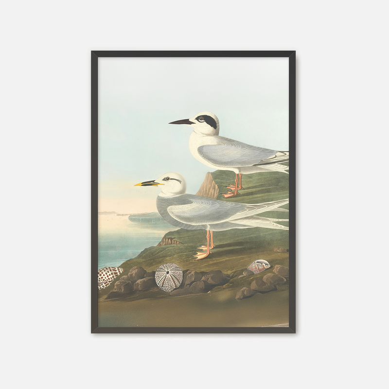 Seagull Print - Sage and Rose Prints