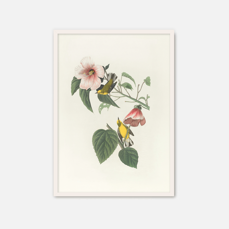 Bird Artwork with Pink Flower - Sage and Rose Prints