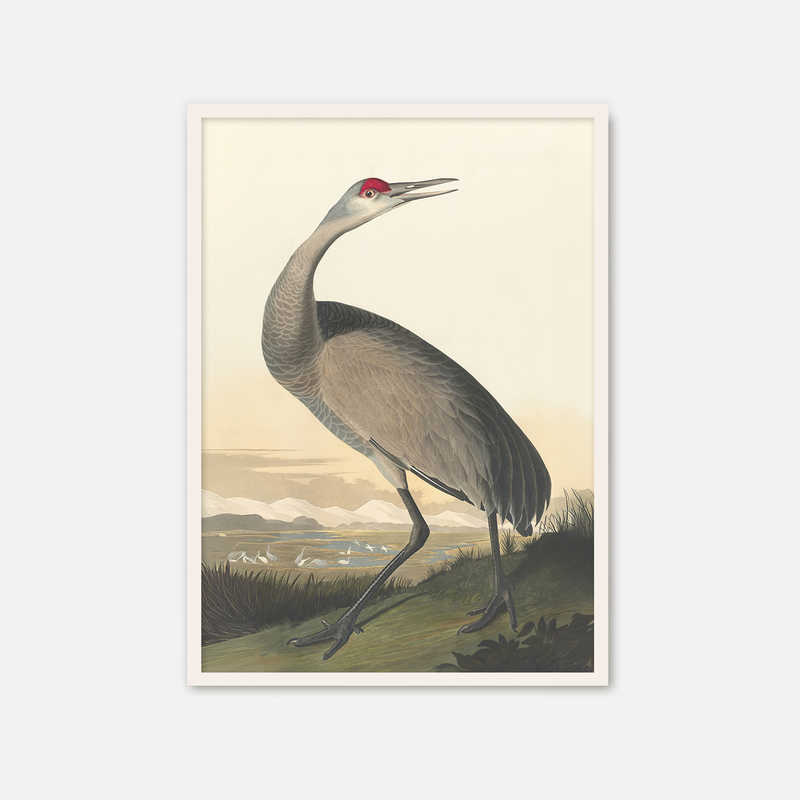 Hooping Crane Print - Sage and Rose Prints