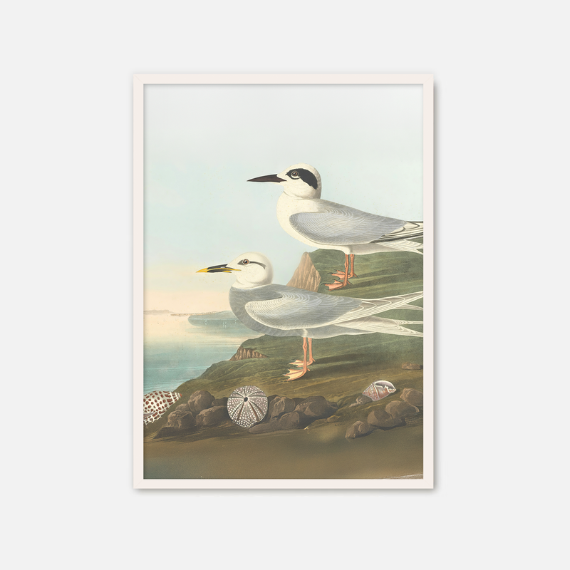 Seagull Print - Sage and Rose Prints
