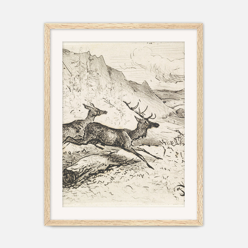 Charcoal Drawing of Deer No1 - Sage and Rose Prints