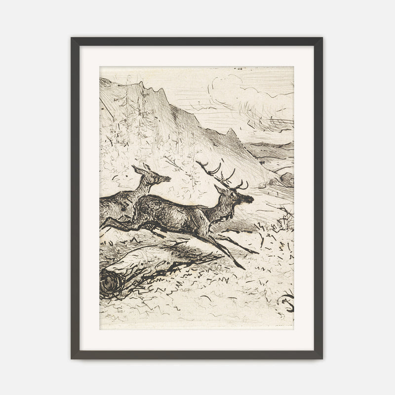 Charcoal Drawing of Deer No1 - Sage and Rose Prints