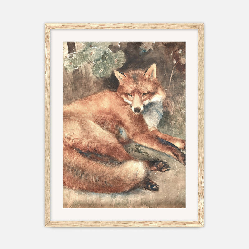 Old Masters Fox Painting No1 - Sage and Rose Prints