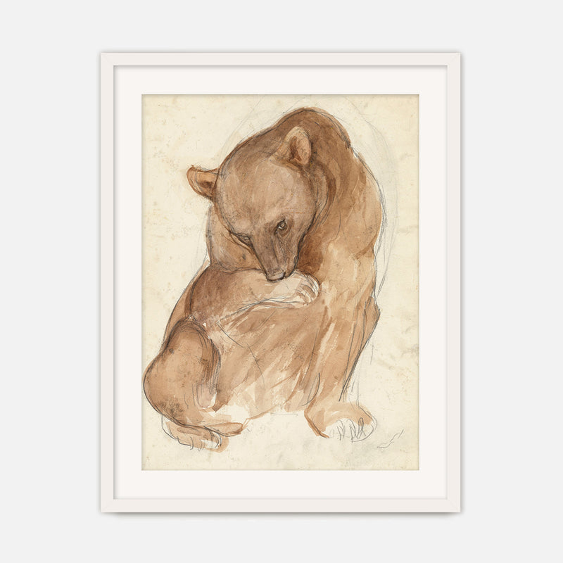 Bear Drawing in Earth Tones - Sage and Rose Prints