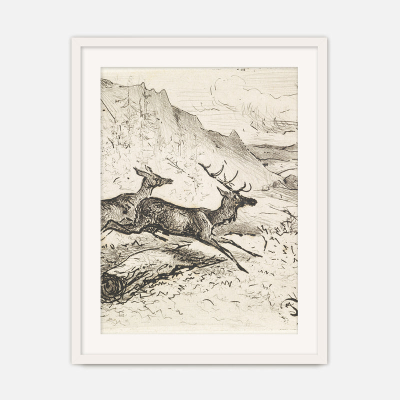 Charcoal Drawing of Deer No1 - Sage and Rose Prints