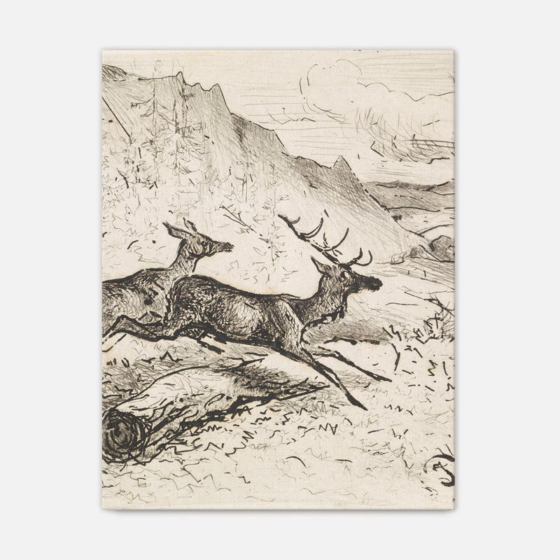 Charcoal Drawing of Deer No1 - Sage and Rose Prints