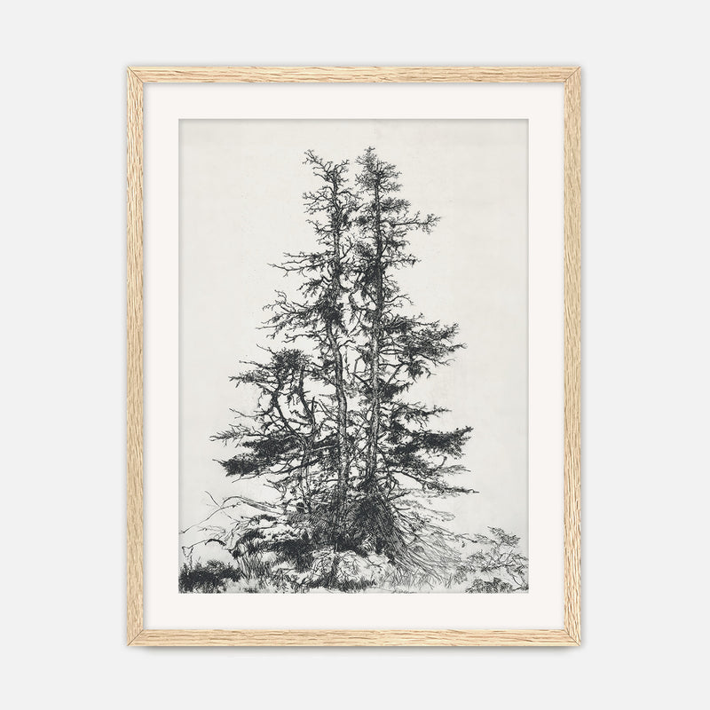 Black and White Tree Illustration No1 - Sage and Rose Prints