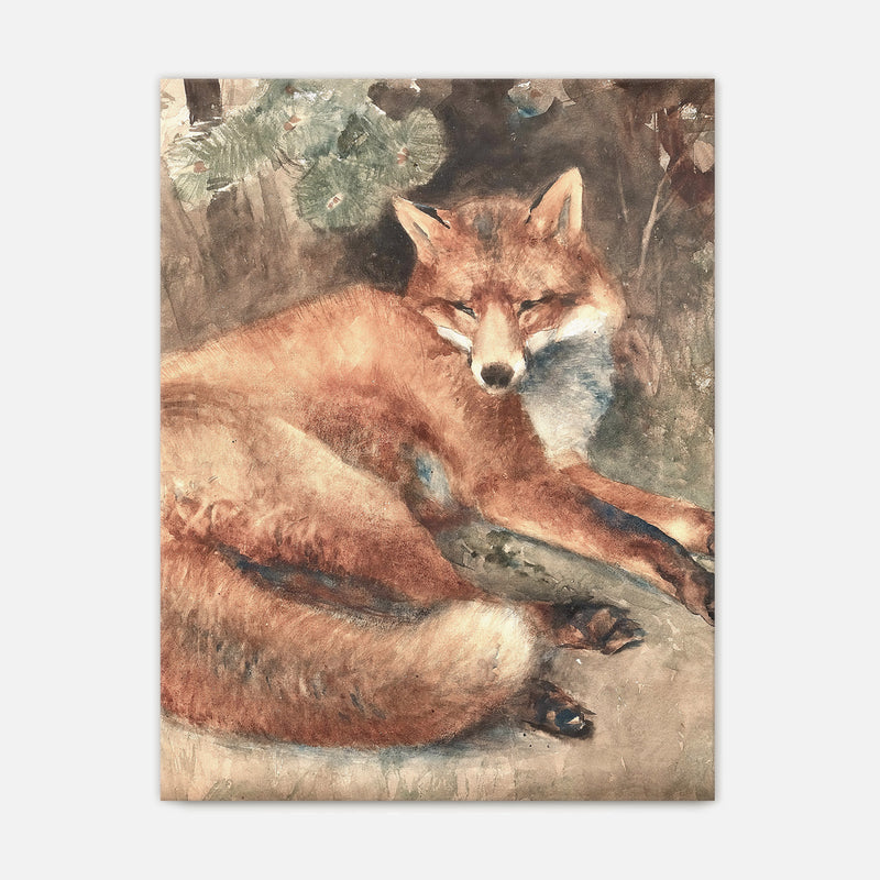 Old Masters Fox Painting No1 - Sage and Rose Prints
